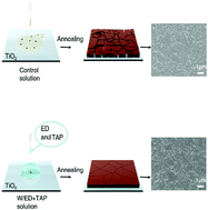 Graphical abstract: Grain size control for high-performance formamidinium-based perovskite solar cells via suppressing heterogenous nucleation