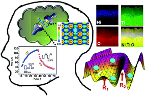 Graphical abstract: Metal-induced progressive alteration of conducting states in memristors for implementing an efficient analog memory: a DFT-supported experimental approach