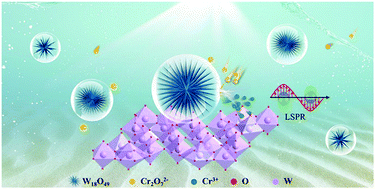 Graphical abstract: Tuning morphology-dependent localized surface plasmon resonance in quasi-metallic tungsten oxide nanostructures for enhanced photocatalysis