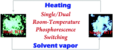 Graphical abstract: Organic phosphorescent polymorphs induced by various halogen bonds with stimuli-responsive single/dual phosphorescence switching