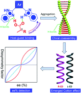 Graphical abstract: Quantitative chiral sensing of organic acids by benzimidazole derivatives through H-bond coassembly