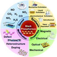 Graphical abstract: Recent advances in 2D black phosphorus based materials for gas sensing applications