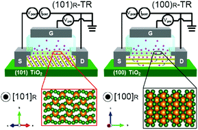 Graphical abstract: Anisotropic ionic transport-controlled synaptic weight update by protonation in a VO2 transistor