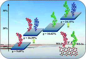 Graphical abstract: Introducing chenodeoxycholic acid coadsorbent and strong electron-withdrawing group in indoline dyes to design high-performance solar cells: a remarkable theoretical improvement