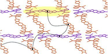 Graphical abstract: Long-range exciton diffusion in a non-fullerene acceptor: approaching the incoherent limit