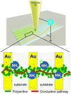 Graphical abstract: Electrohydrodynamic jet printed conducting polymer for enhanced chemiresistive gas sensors