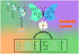 Graphical abstract: Room-temperature white and color-tunable afterglow by manipulating multi-mode triplet emissions