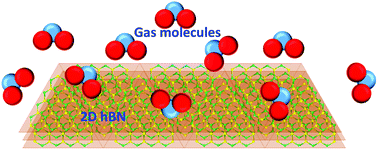 Graphical abstract: Recent advances in ultrathin 2D hexagonal boron nitride based gas sensors