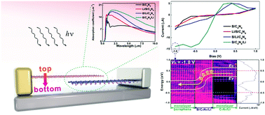 Graphical abstract: Elimination of interlayer Schottky barrier in borophene/C4N4 vdW heterojunctions via Li-ion adsorption for tunneling photodiodes