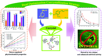 Graphical abstract: Supramolecular self-assembly of amantadine hydrochloride with ferulic acid via dual optimization strategy establishes a precedent of synergistic antiviral drug-phenolic acid nutraceutical cocrystal