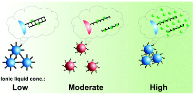 Graphical abstract: Plasmon switching of gold nanoparticles through thermo-responsive terminal breathing of surface-grafted DNA in hydrated ionic liquids