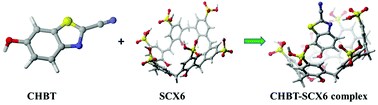 Graphical abstract: Photophysical and NMR studies of encapsulation of 2-cyano-6-hydroxy benzothiazole in p-sulfonatocalix[6]arene and its biological applications