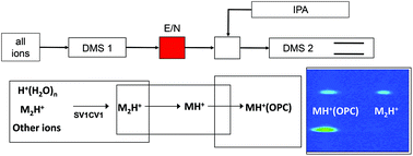 Graphical abstract: Field induced displacement reactions with proton bound dimers of organophosphorus compounds in a tandem differential mobility spectrometer
