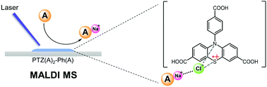 Graphical abstract: Cationization of neutral small molecules by site-specific carboxylation of 10-phenyl-10H-phenothiazine in laser desorption/ionization