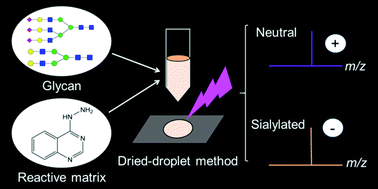 Graphical abstract: 4-Hydrazinoquinazoline acting as a reactive matrix for the rapid and sensitive analysis of neutral and sialylated glycans using MALDI MS