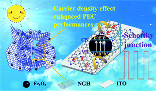 Graphical abstract: Visible light-driven self-powered aptasensors for ultrasensitive Microcystin-LR detection based on the carrier density effect of N-doped graphene hydrogel/hematite Schottky junctions