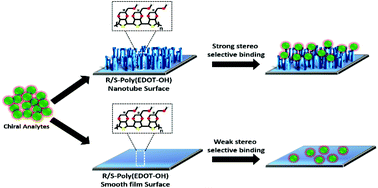 Graphical abstract: Molecular and nano structures of chiral PEDOT derivatives influence the enantiorecognition of biomolecules. In silico analysis of chiral recognition