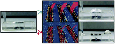 Graphical abstract: Rapid and specific detection of intact viral particles using functionalized microslit silicon membranes as a fouling-based sensor
