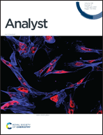 Graphical abstract: Front cover
