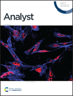 Graphical abstract: Front cover