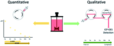 Graphical abstract: Quantitative trace metal determinations in cell culture media using LS-APGD-MS and ICP-OES with free/bound species differentiation following polymer fiber separations