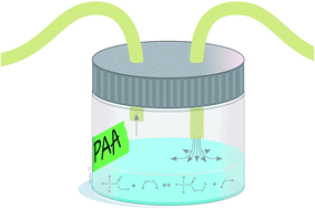 Graphical abstract: Controlled generation of peracetic acid atmospheres for the evaluation of chemical samplers