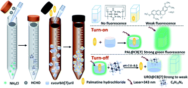 Graphical abstract: An “on–off” fluorescent probe based on cucurbit[7]uril for highly sensitive determination of ammonia nitrogen in aquaculture water