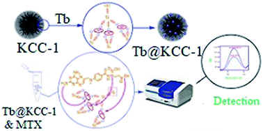 Graphical abstract: Ultrasensitive fluorescence detection of antitumor drug methotrexate based on a terbium-doped silica dendritic probe