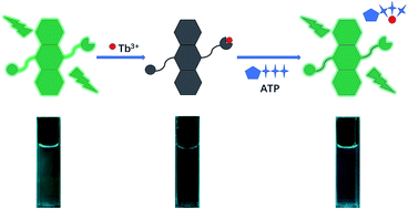 Graphical abstract: Highly sensitive detection of Tb3+ and ATP based on a novel asymmetric anthracene derivative