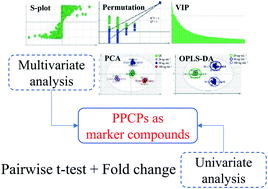 Graphical abstract: Metabolomics-based non-targeted screening analysis of 34 PPCPs in bovine and piscine muscles