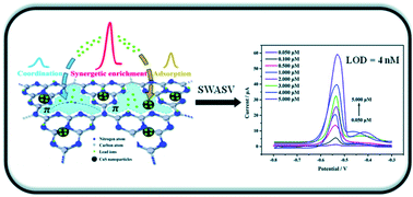 Graphical abstract: A high performance Pb(ii) electrochemical sensor based on spherical CuS nanoparticle anchored g-C3N4