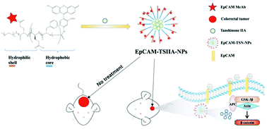 Graphical abstract: Retracted Article: PEG-poly(amino acid)s/EpCAM aptamer multifunctional nanoparticles arrest the growth and metastasis of colorectal cancer