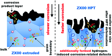 Graphical abstract: Influence of high-pressure torsion deformation on the corrosion behaviour of a bioresorbable Mg-based alloy studied by positron annihilation