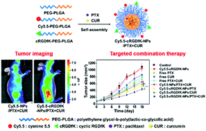 Graphical abstract: Theranostic potential of biodegradable polymeric nanoparticles with paclitaxel and curcumin against breast carcinoma