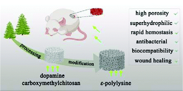 Graphical abstract: A multifunctional green antibacterial rapid hemostasis composite wound dressing for wound healing