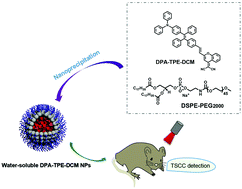 Graphical abstract: Near-infrared aggregation-induced emission nanodots for early diagnosis of tongue squamous cell carcinoma and sentinel lymph node mapping