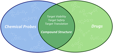 Graphical abstract: Chemogenomics for drug discovery: clinical molecules from open access chemical probes