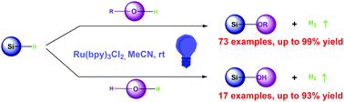 Graphical abstract: Photocatalyzed cross-dehydrogenative coupling of silanes with alcohols and water