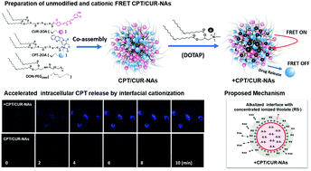 Graphical abstract: Interfacial cationization to quicken redox-responsive drug release