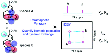 Graphical abstract: Assessing multiple conformations of lanthanide binding tags for proteins using a sensitive 19F-reporter