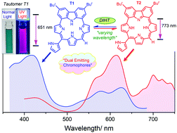 Graphical abstract: Double intramolecular hydrogen transfer assisted dual emission in a carbazole-embedded porphyrin-like macrocycle