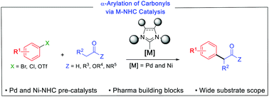 Graphical abstract: N-Heterocyclic carbene complexes enabling the α-arylation of carbonyl compounds