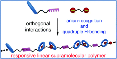Graphical abstract: A calix[4]pyrrole-based linear supramolecular polymer constructed by orthogonal self-assembly