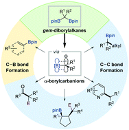 Graphical abstract: Advances in transition metal-free deborylative transformations of gem-diborylalkanes