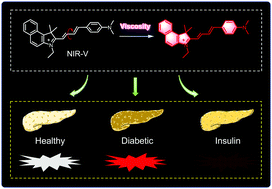 Graphical abstract: A mitochondria-targeted near-infrared fluorescent probe for imaging viscosity in living cells and a diabetic mice model