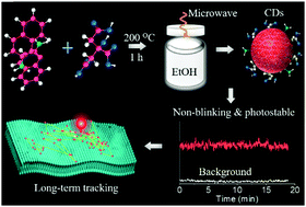 Graphical abstract: Nonblinking carbon dots for imaging and tracking receptors on a live cell membrane