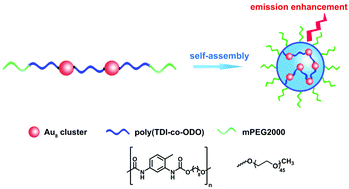 Graphical abstract: Photoluminescence enhancement by controllable aggregation and polymerization of octanuclear gold clusters