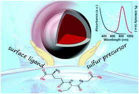 Graphical abstract: Near-infrared emitting Cu–In–Se/ZnS core/shell quantum dots: aqueous synthesis and sulfur source effects