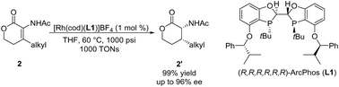 Graphical abstract: Enantioselective hydrogenation of cyclic tetrasubstituted-olefinic dehydroamino acid derivatives