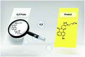 Graphical abstract: A color turn-on fluorescent probe for real-time detection of hydrogen sulfide and identification of food spoilage